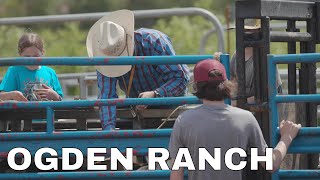Farmer Profile | Ogden Ranch
