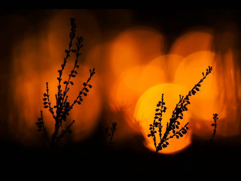 Guarda Soriah With Ashkelon Sain - Cehui su YouTube Guarda Soriah With Ashkelon Sain - Cehui su YouTube