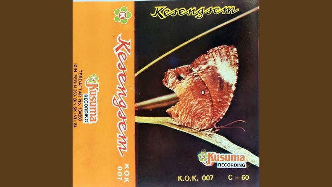 Pastdan mushuk korsatilgan video