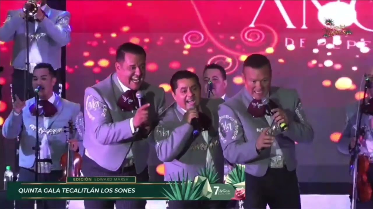 Presentación del Mariachi Ángeles de Pepe Martinez, Jr en el Festival De Tecalitlán Los Sones