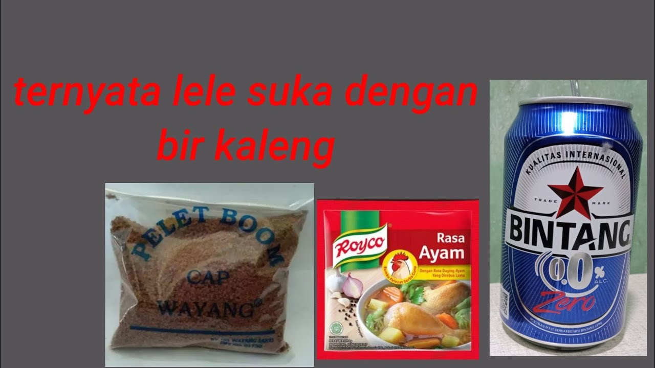 Umpan gacor mancing ikan lele