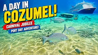 Snorkeling a Shallow Coral Reef in Cozumel Mexico