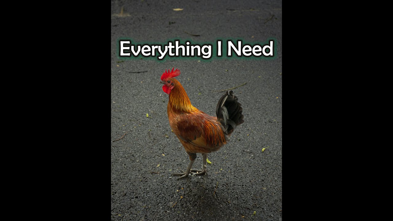 Watch Everything I Need (song) - by ojo on YouTube Watch Everything I Need (song) - by ojo on YouTube