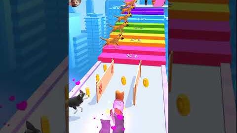 Groomer Run 3d All Levels Gameplay Android,ios