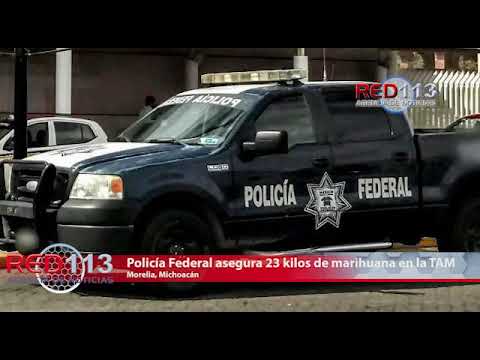VIDEO Policía Federal asegura 23 kilos de marihuana en la TAM