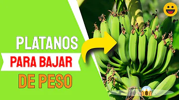 ¿Qué color de plátano es mejor?