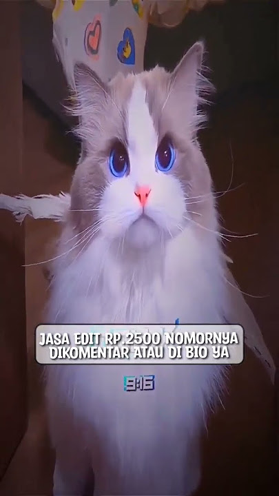 PRESET DJ WE MAKE IT BOUNCE X MENGULAR 😲🤙