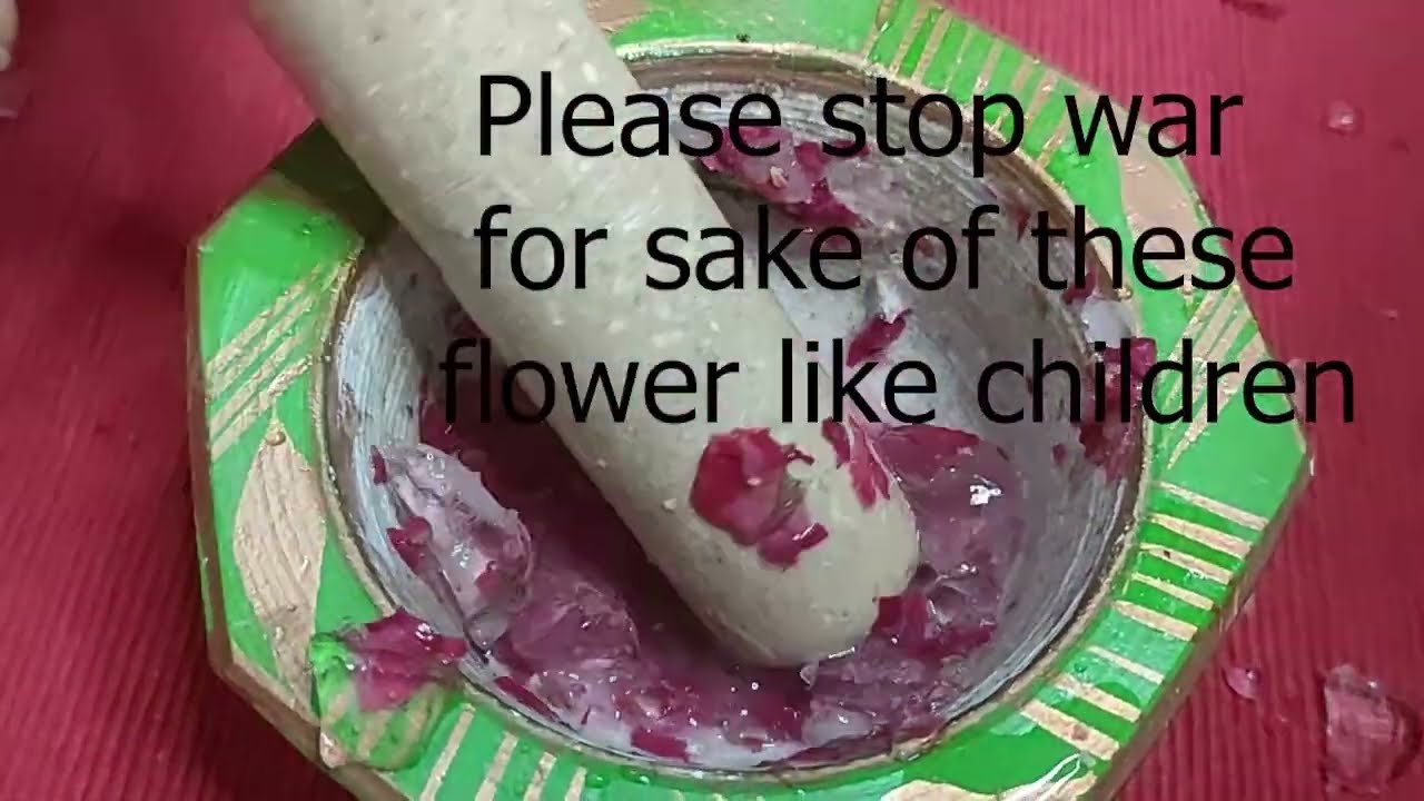 Crush dedicated to Palestinian children, women killed & displaced in Gaza |frozen rose crush 