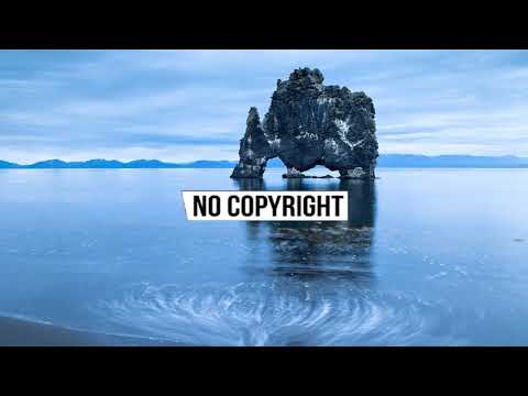 Nekzlo - Back
