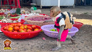 The process of monkey YiYi going to the market to buy food to help the poor piglets