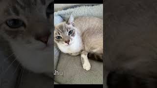 #funny yo I got a test Tomarow let me sleep