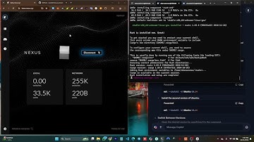 HOW TO RUN NEXUS CLI NODE INTERACTION
