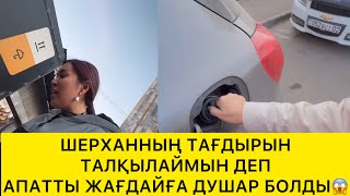 картинка: ШЕРХАННЫҢ ТАҒДЫРЫН ТАЛҚЫЛАЙМЫН ДЕП АПАТТЫ ЖАҒДАЙҒА ТАП БОЛДЫ😱