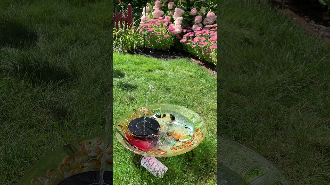 Floating Solar Bird Bath Bubbler YouTube