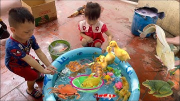 Bé CHÍP PI bắt cá chim , cá sộp , vịt , ếch , các con vật dễ thương , tổng hợp video cá cảnh đẹp