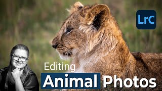 How to Edit Stunning Animal Photos From Start to Finish screenshot 5