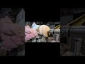Live Edge Red Oak.  Wood Lathe ASMR @10x speed.