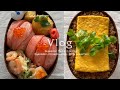Oyako-don Bento | Chirashi-sushi | Asakusa | Steamer Breakfast | Miniature Peach soda | Vlog