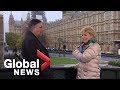 Antibrexit mp called a nazi live on british newscast