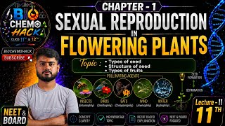Types of Seeds & Fruits Complete Chapter 🔥 | Structure of Seed | Class 12 Biology | Gagan Sir | L-11