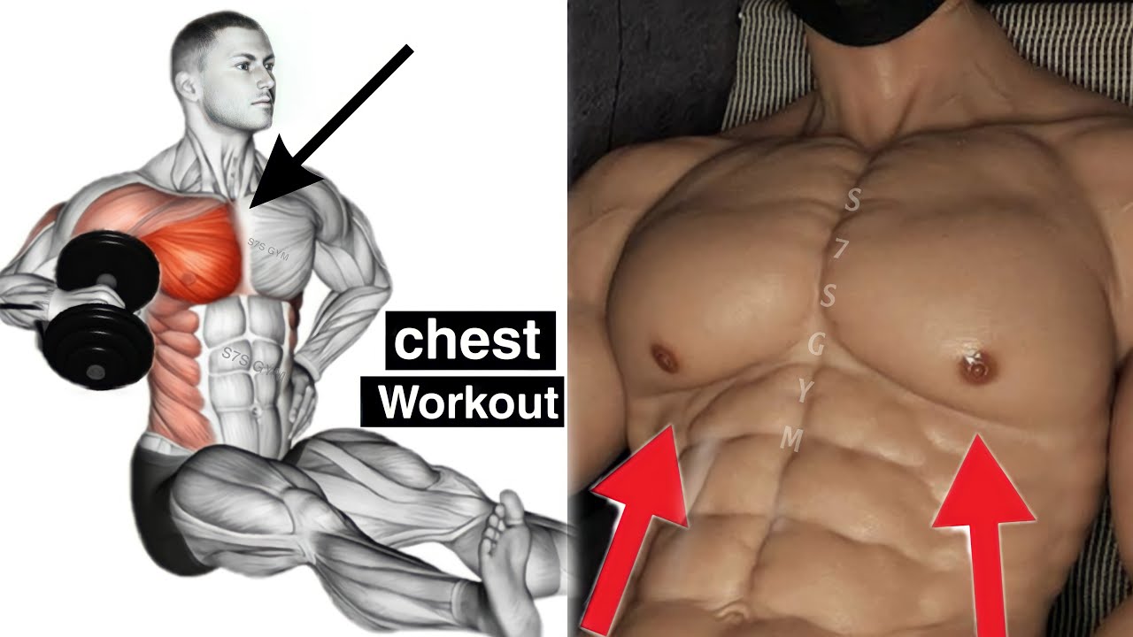 Best Chest Exercises For Building A Strong, Powerful Chest - YouTube
