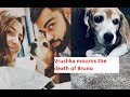 This family member passes away from Vrushka family