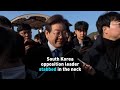 South Korea opposition leader stabbed in the neck