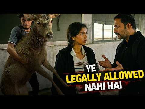 Ab kabhi wild animal rescue nahi karenge
