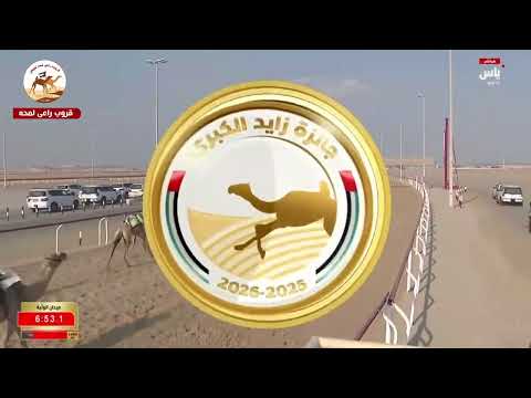 الشوط 14 قطنة لـ الشيخ ذياب محمد بن ركاض العامري 9 03 07 جائزة زايد الكبرى 2025 الشوط 14 قطنة لـ الشيخ ذياب محمد بن ركاض العامري 9 03 07 جائزة زايد الكبرى 2025
