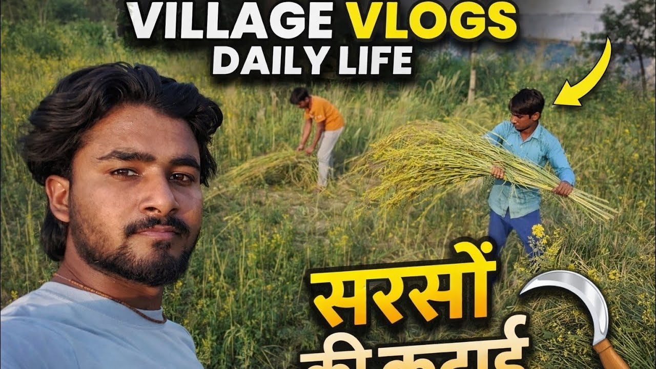 Desi village life:khet me sarso ki katai,parivar ki mehnat#viral#trending #explore#foryou#fyp#vlog 