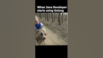 When Java Developer Starts Using Golang #programmerhumor