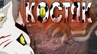 Арт Коты воители. Костяк Арт Коты воители. Костяк