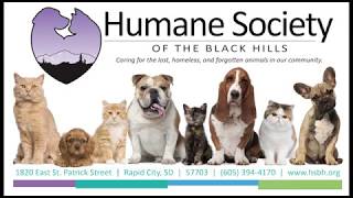 Caturday tips