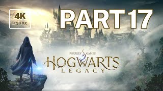 Hogwarts Legacy: Enchanting Next-Gen Adventure 4K@60 [No Commentary] - Part 17