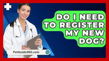 Do I Need To Register My New Dog? - PetGuide360.com