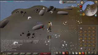 hunter (300k/hr profit 30k xp/hr + 0 time prayer xp)
