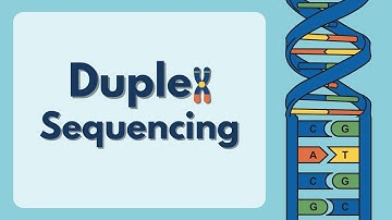 Duplex sequencing: Detecting ultra rare variants