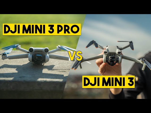 DJI Mini 3 Vs DJI Mini 3 Pro – heliguy™