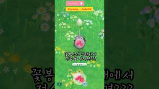 피크민블룸 | 꽃잎 2배 수확