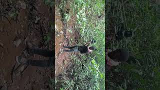 TITANE GR 1000