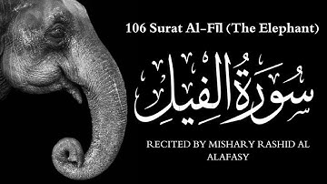 Surat Al-Fīl (The Elephant) | Mishary Rashid Alafasy | سورة الفيل | مشاري بن راشد العفاسي
