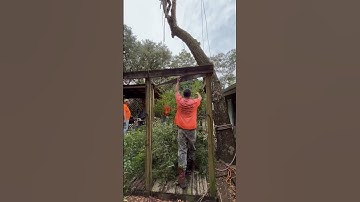 Rigging oak video 🧩