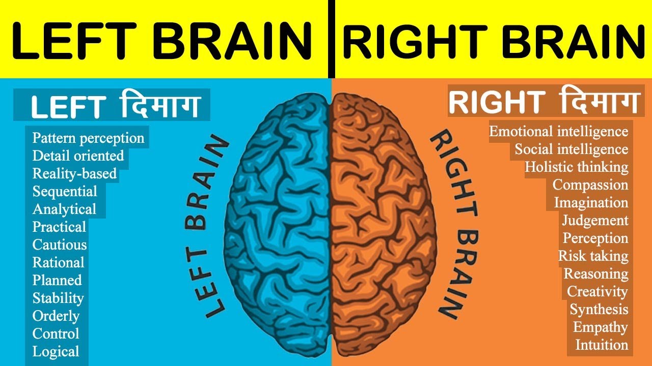 Left Brain Vs Right Brain Full Comparison In Hindi 2021 Left Brain Vs