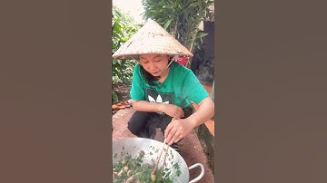 Lá mì xào với thịt ba chỉ #music #hacadaily #taynguyen