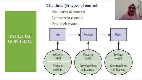 MGT162 Chapter 7 Control (Video 2)