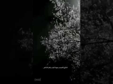 لفاني الليل والتمن كل سوالفنه العتيجه 