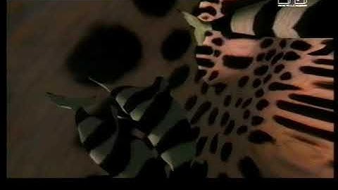 Speedy J - Symmetry (1994 Artificial intelligence music video)