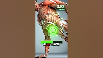 “Plank for Belly Fat: Best Exercise to Burn Fat Fast (No Equipment)”