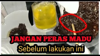 Cara memeras madu Trigona / Klanceng yang benar