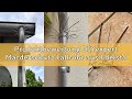 Produktbewertung DIYexpert Marderschutz Fallrohr aus Edelstahl | [2 Stück] | Effektive Waschbär-Abwe